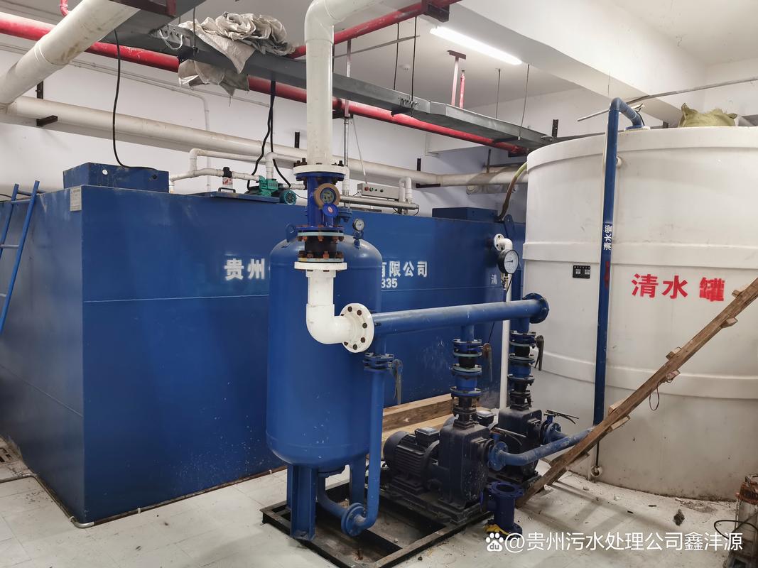 其在保护环境,维护水资源平衡方面发挥着至关重要的作用