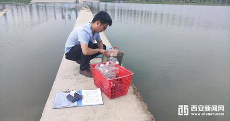 生态环境阎良分局推进生态环境质量持续好转助力十四运